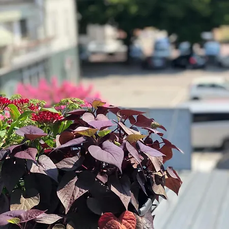 La Plaza Bed & Breakfast Cavaglià