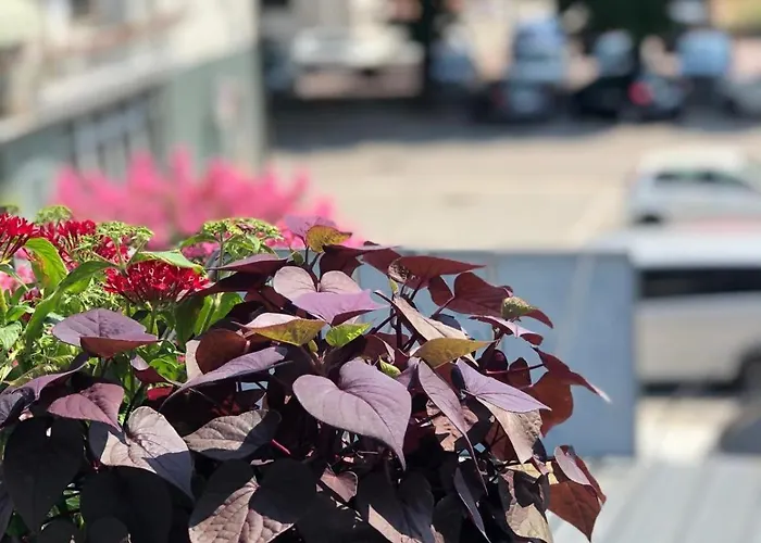 La Plaza Couette-café Cavaglià